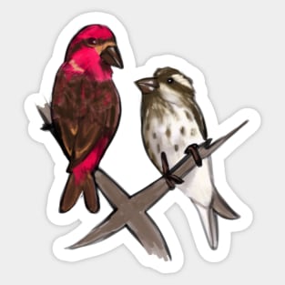 Purple Finches Sticker